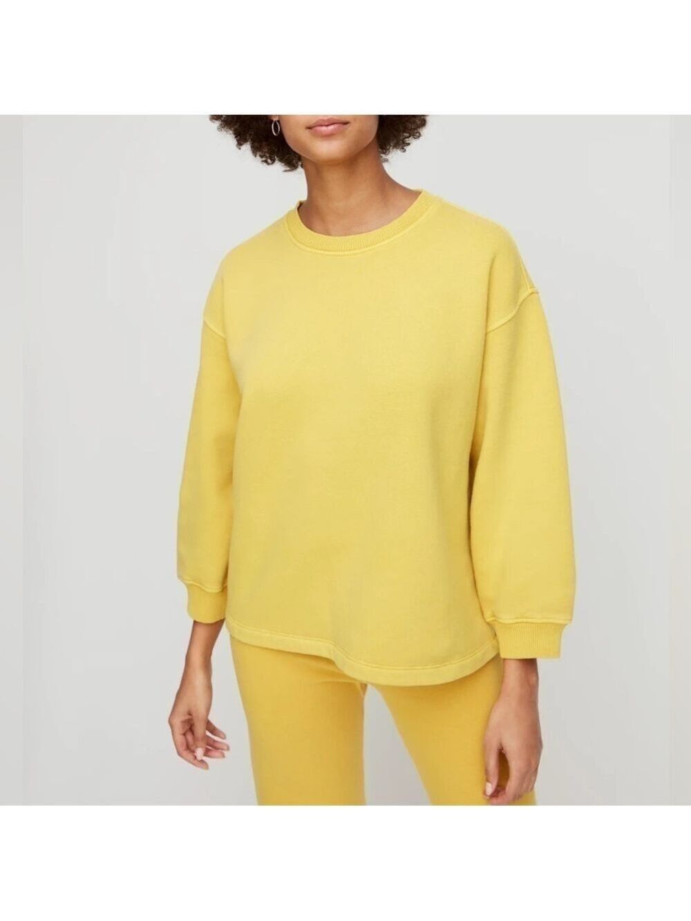 Wilfred Free Aritzia Nan Crewneck Vintage Brushed Cotton Acacia Sweatshirt Top